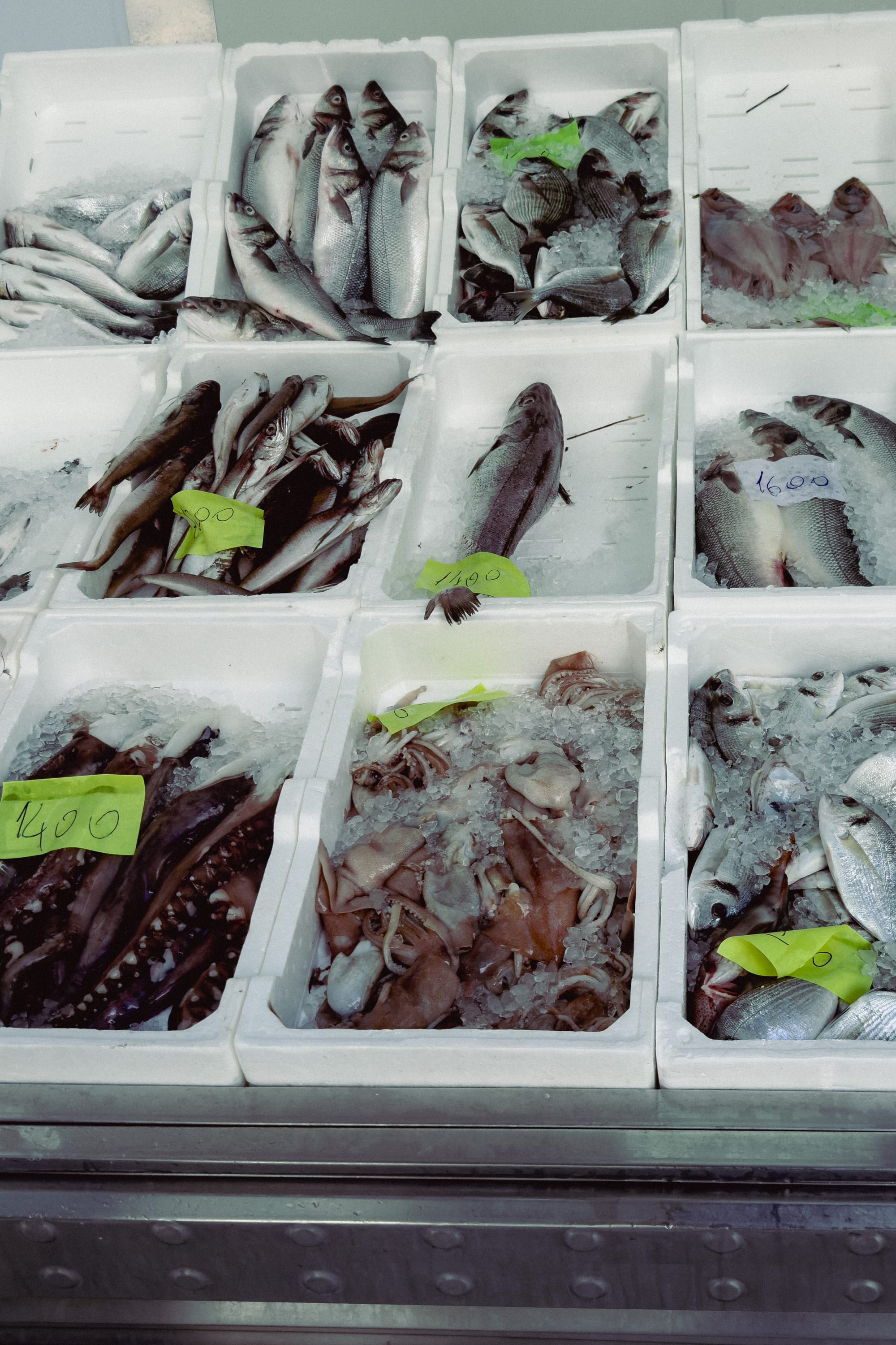 Finding the Slow Life: My Perfect Day in Vlorë, Albania