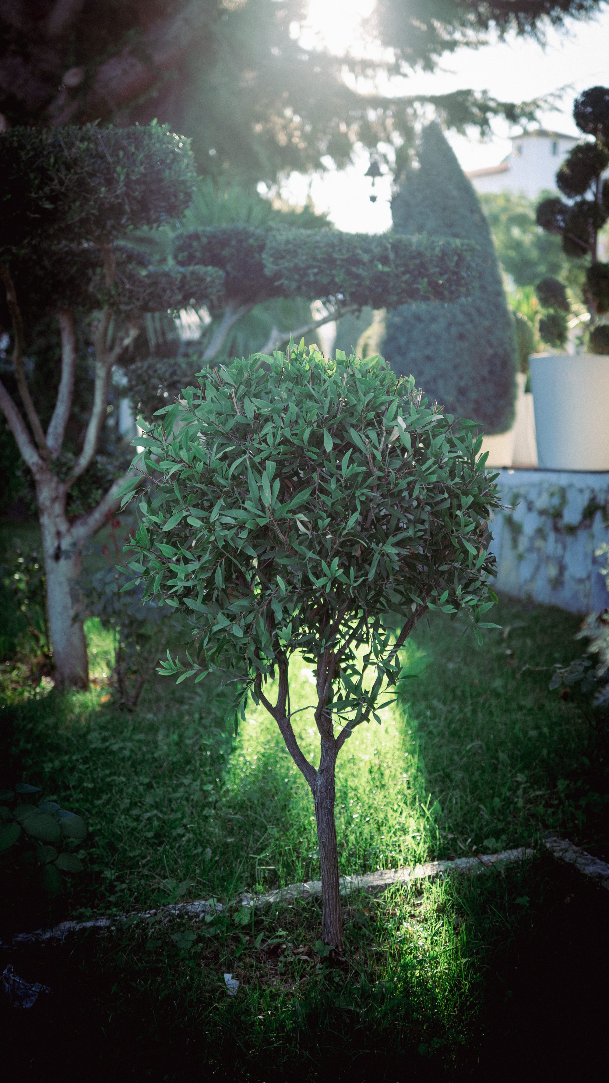 Visual Vlorë Journal: CITY