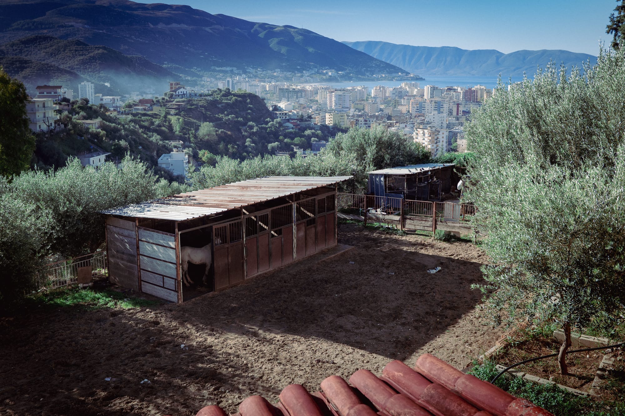 Visual Vlorë Journal: CITY