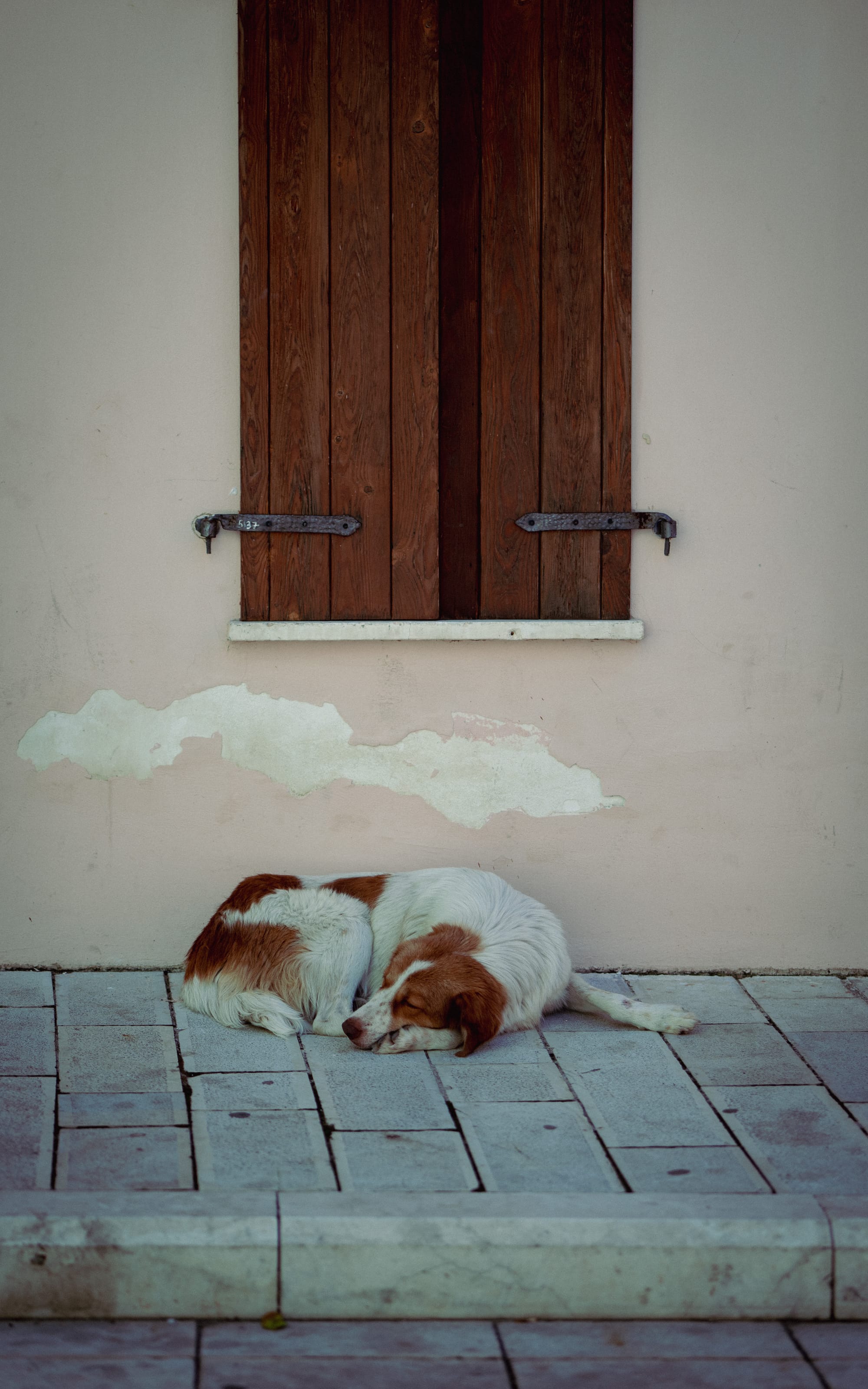 Visual Vlorë Journal: CITY